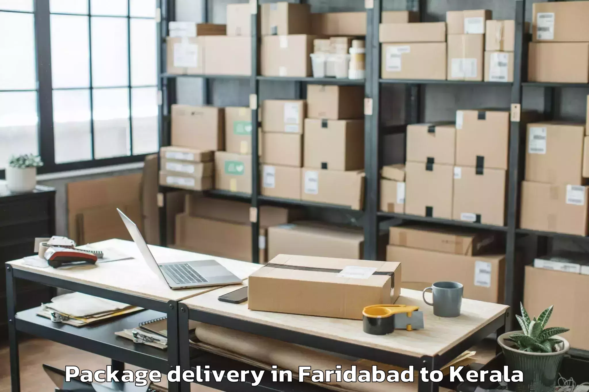 Easy Faridabad to Pandanad Part Package Delivery Booking